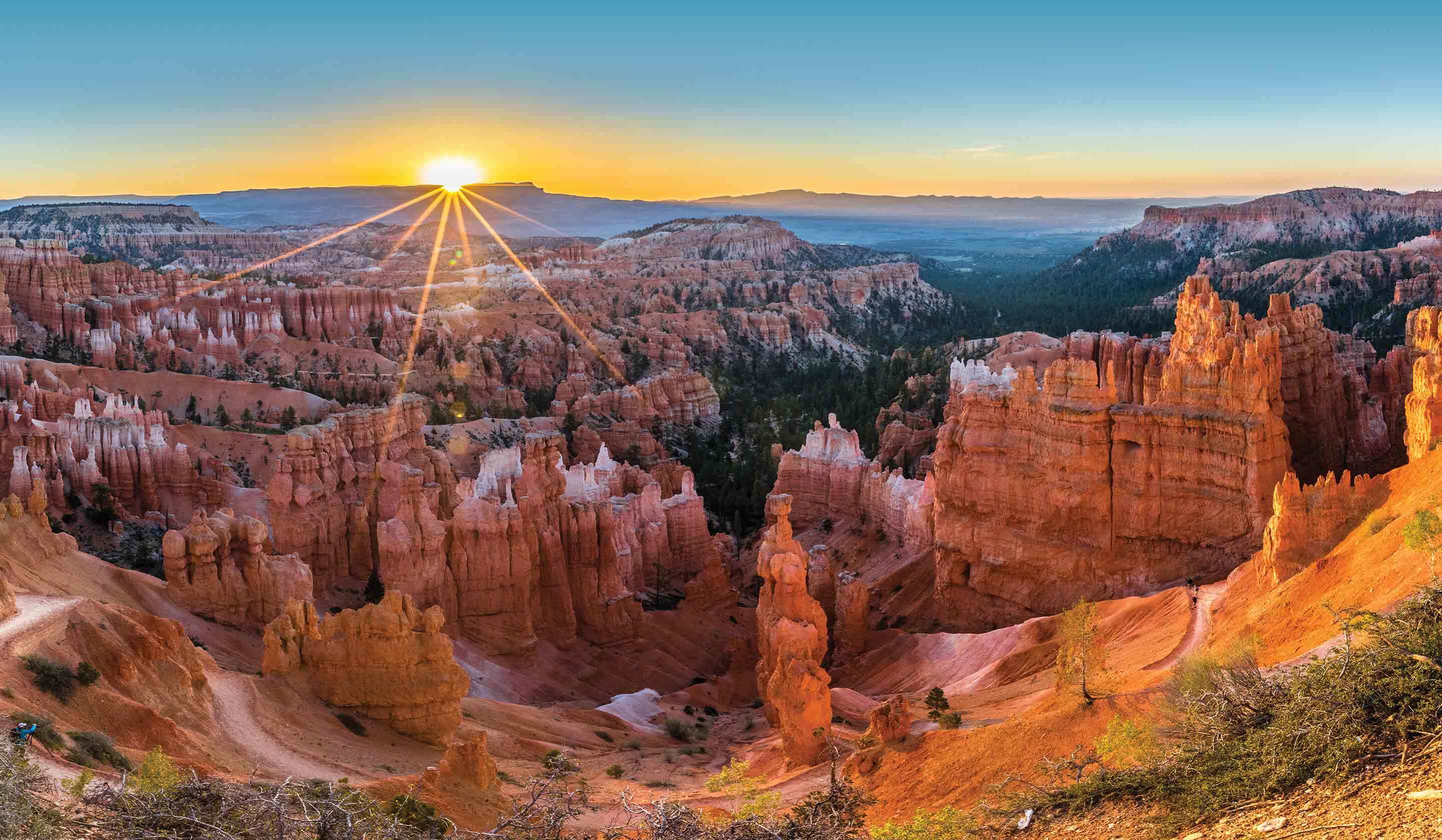 Travel Requirements Tauck