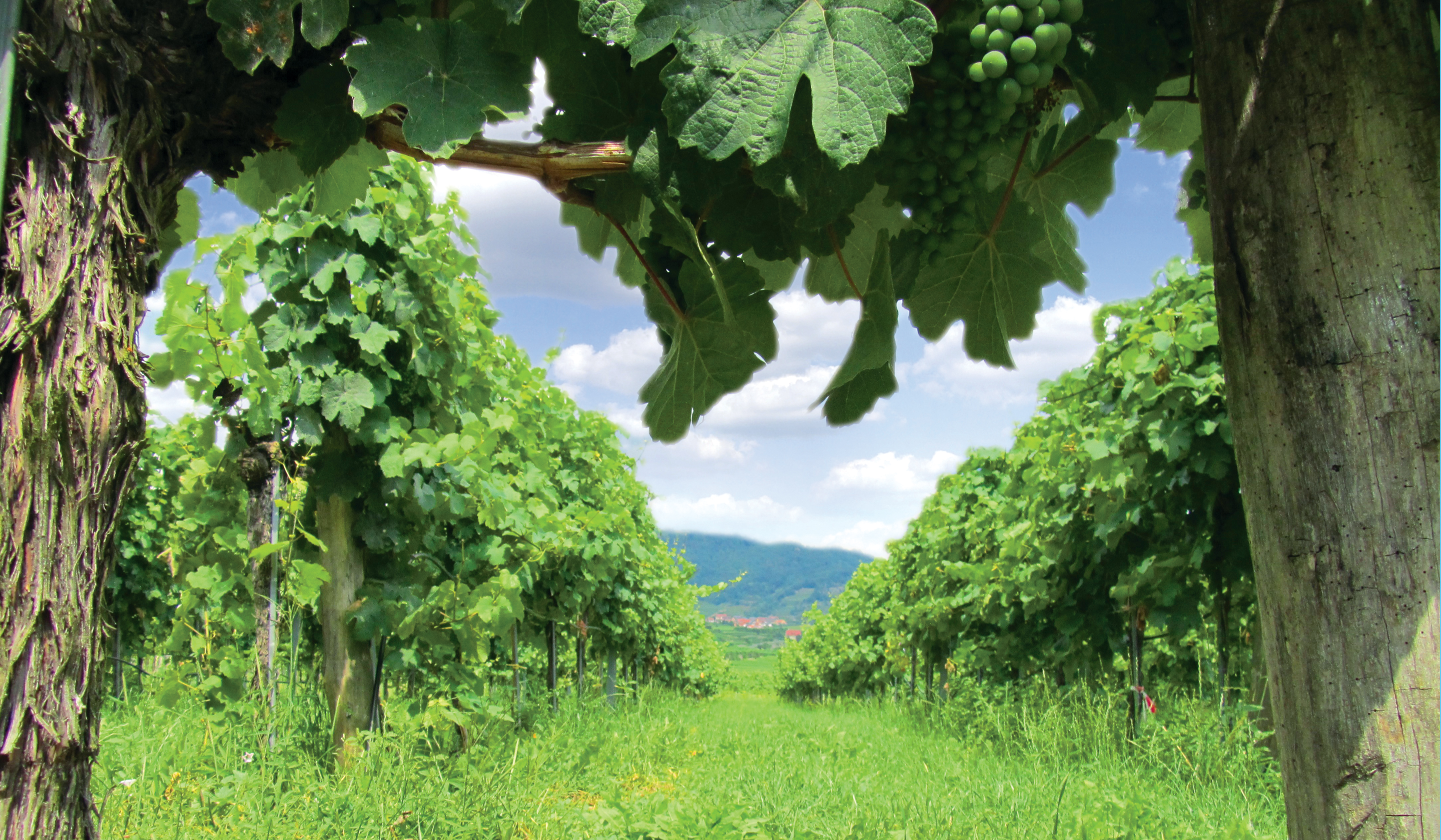 Sustainable Travel River Cruising Tauck