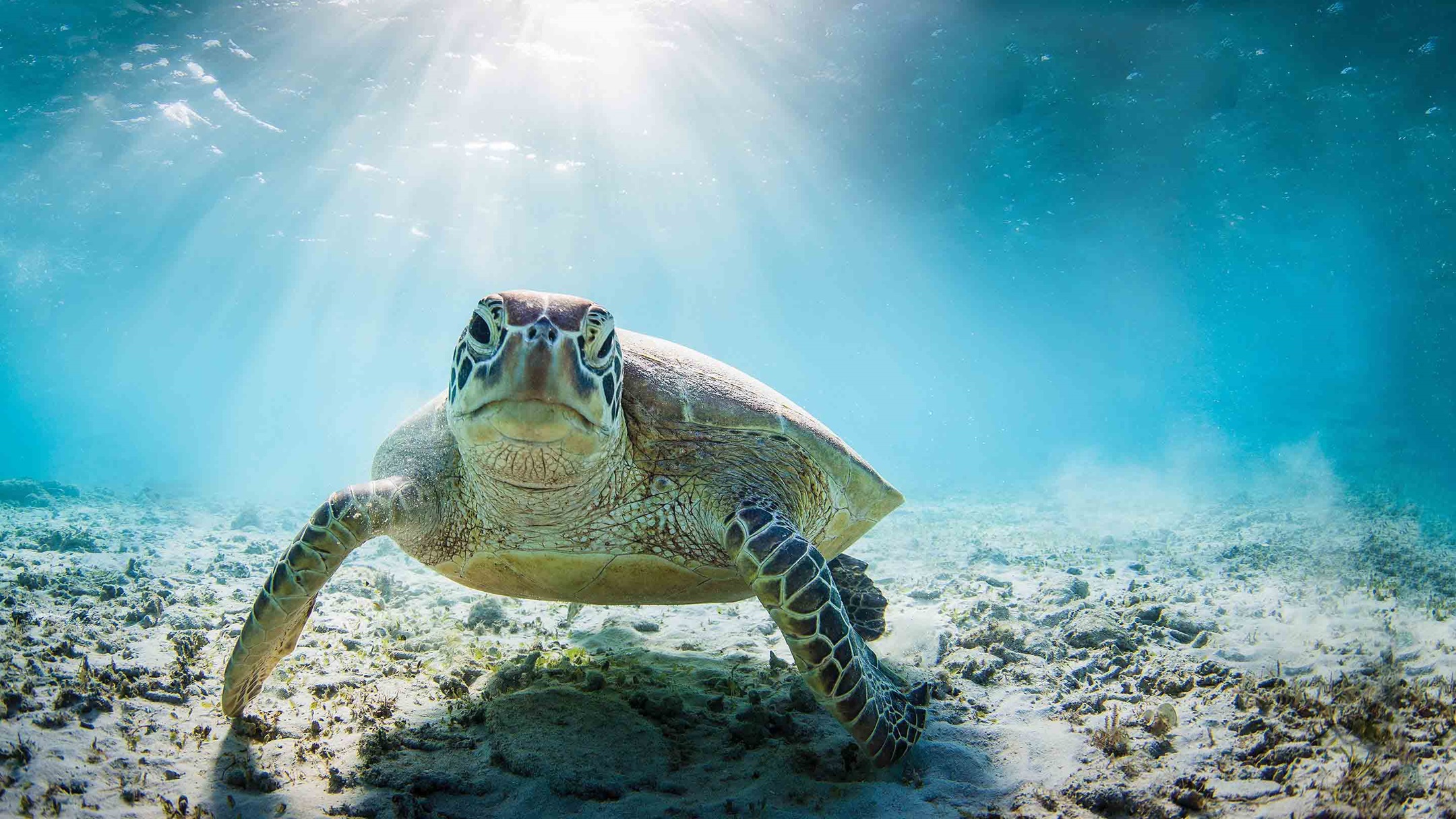 Escorted Tours To The Galapagos Islands hidden-galapagos-peru-escorted-tour